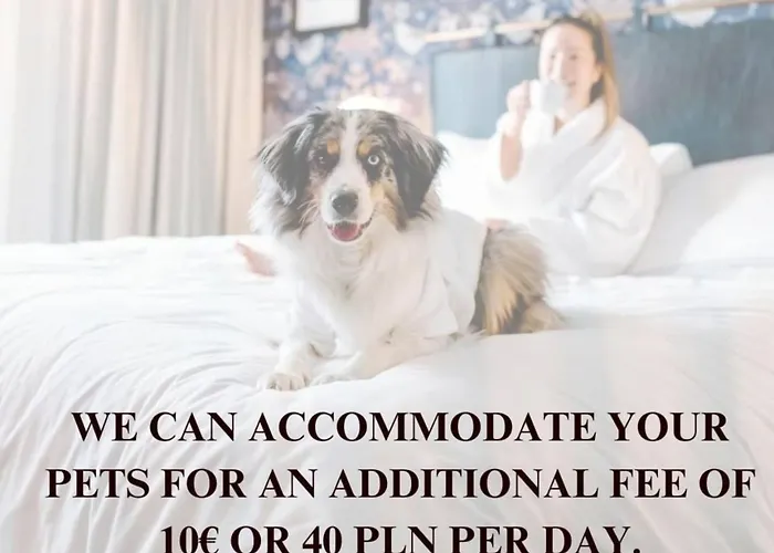 Lägenhet Lumina Luxury With Parking *